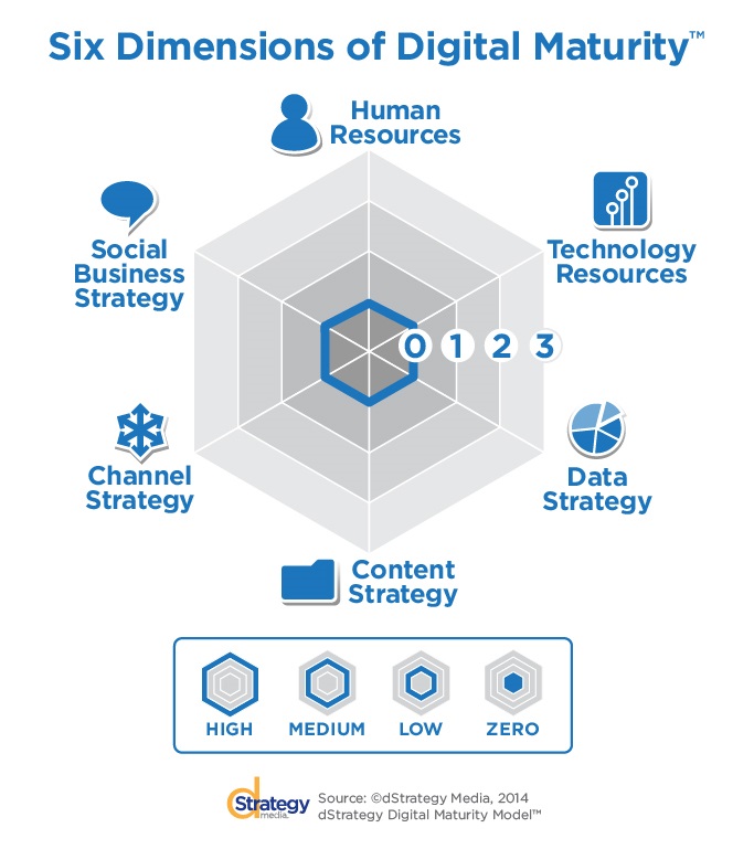 Image of dStrategy Digital Maturity Model™