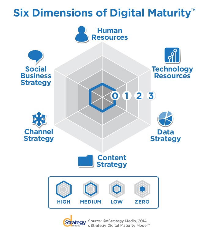 dStrategy Digital Maturity Model™ Image of dStrategy Digital Maturity Model™