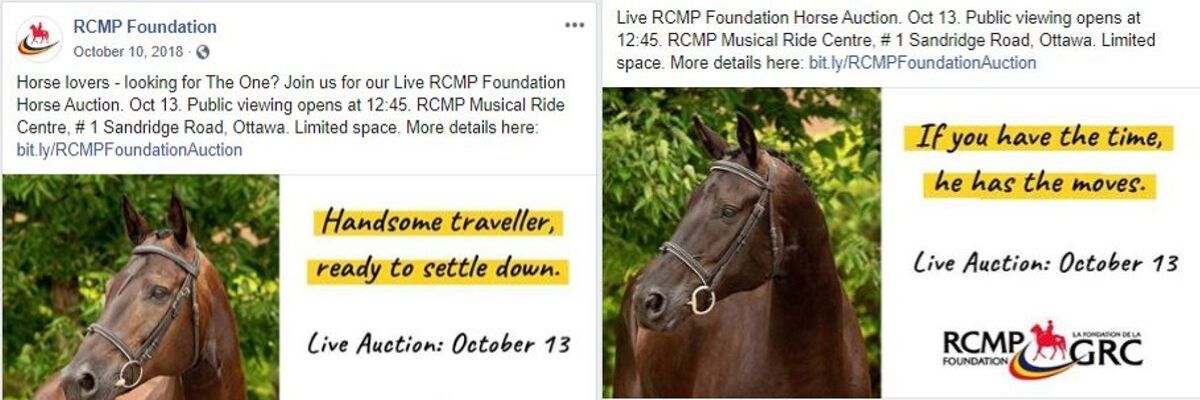 Creative for organic Facebook posts for the RCMP Horse Auction 2018